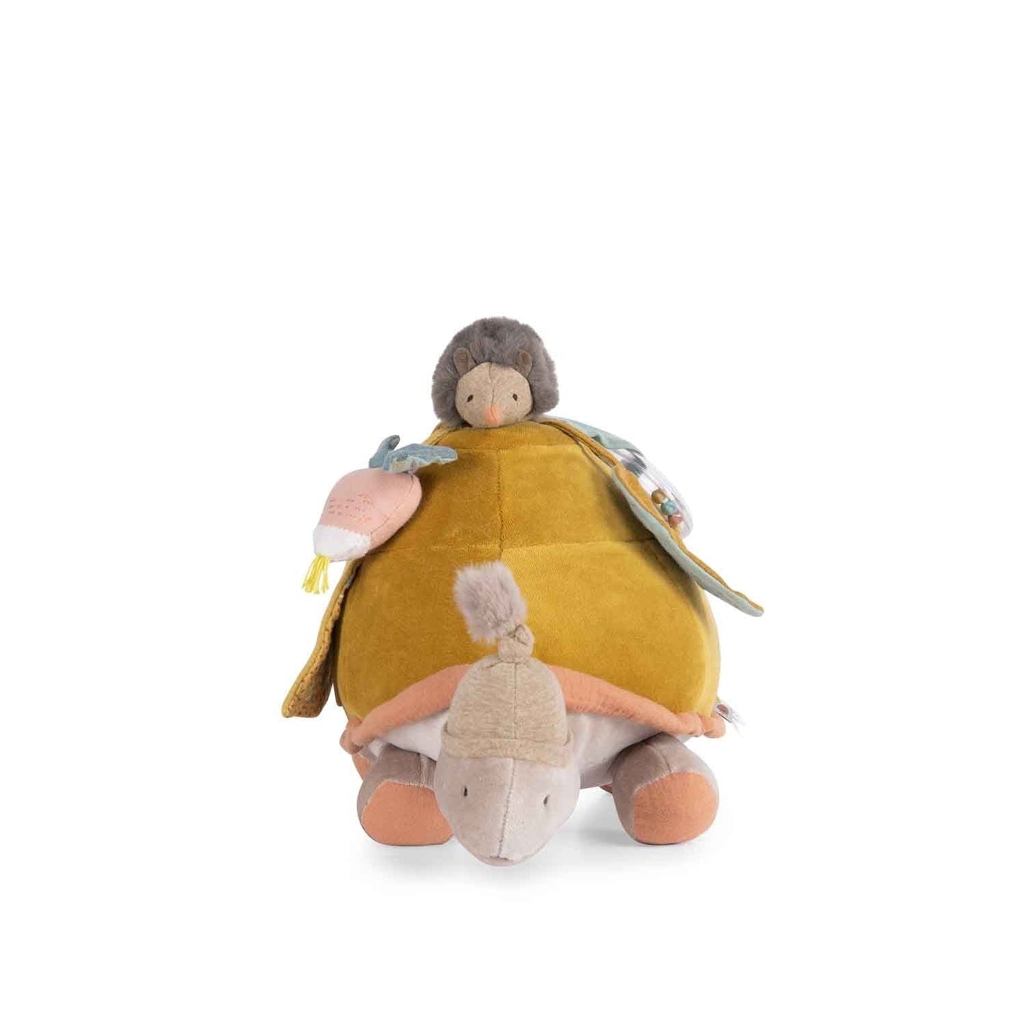Tartaruga attività