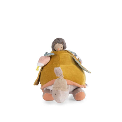 Tartaruga attività